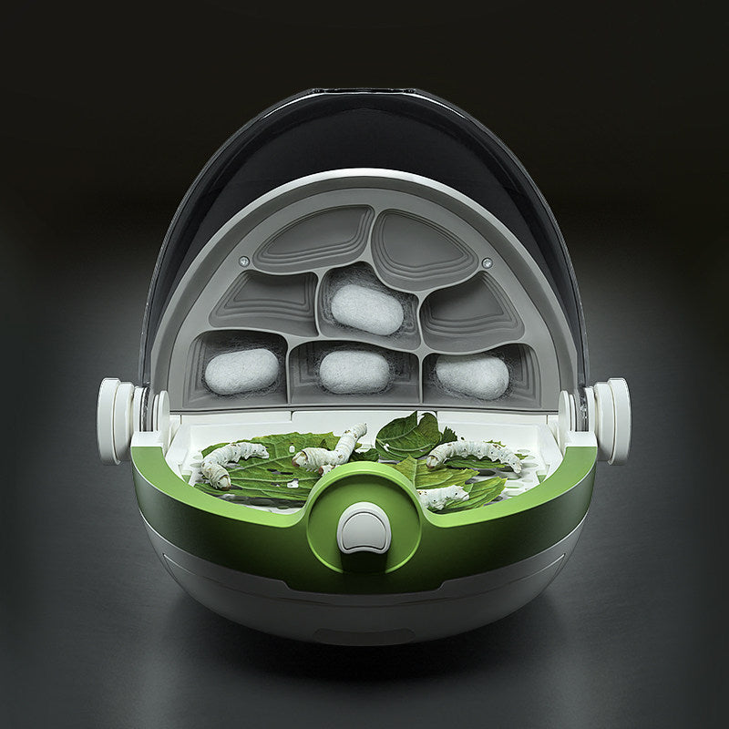 Bean Sprouts Cultivation Pod | Kids Science Kit